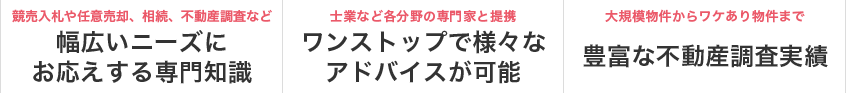 競売入札や任意売却、相続、不動産調査など幅広いニーズにお応えする専門知識／士業など各分野の専門家と提携ワンストップで様々なアドバイスが可能／大規模物件からワケあり物件まで豊富な不動産調査実績