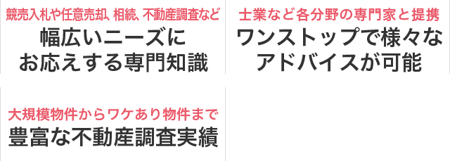 競売入札や任意売却、相続、不動産調査など幅広いニーズにお応えする専門知識／士業など各分野の専門家と提携ワンストップで様々なアドバイスが可能／大規模物件からワケあり物件まで豊富な不動産調査実績