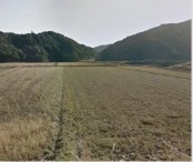 相続後の放置農地でも、活用可能性を見極めて売却